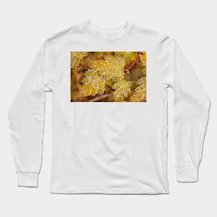 Morning Frost Long Sleeve T-Shirt